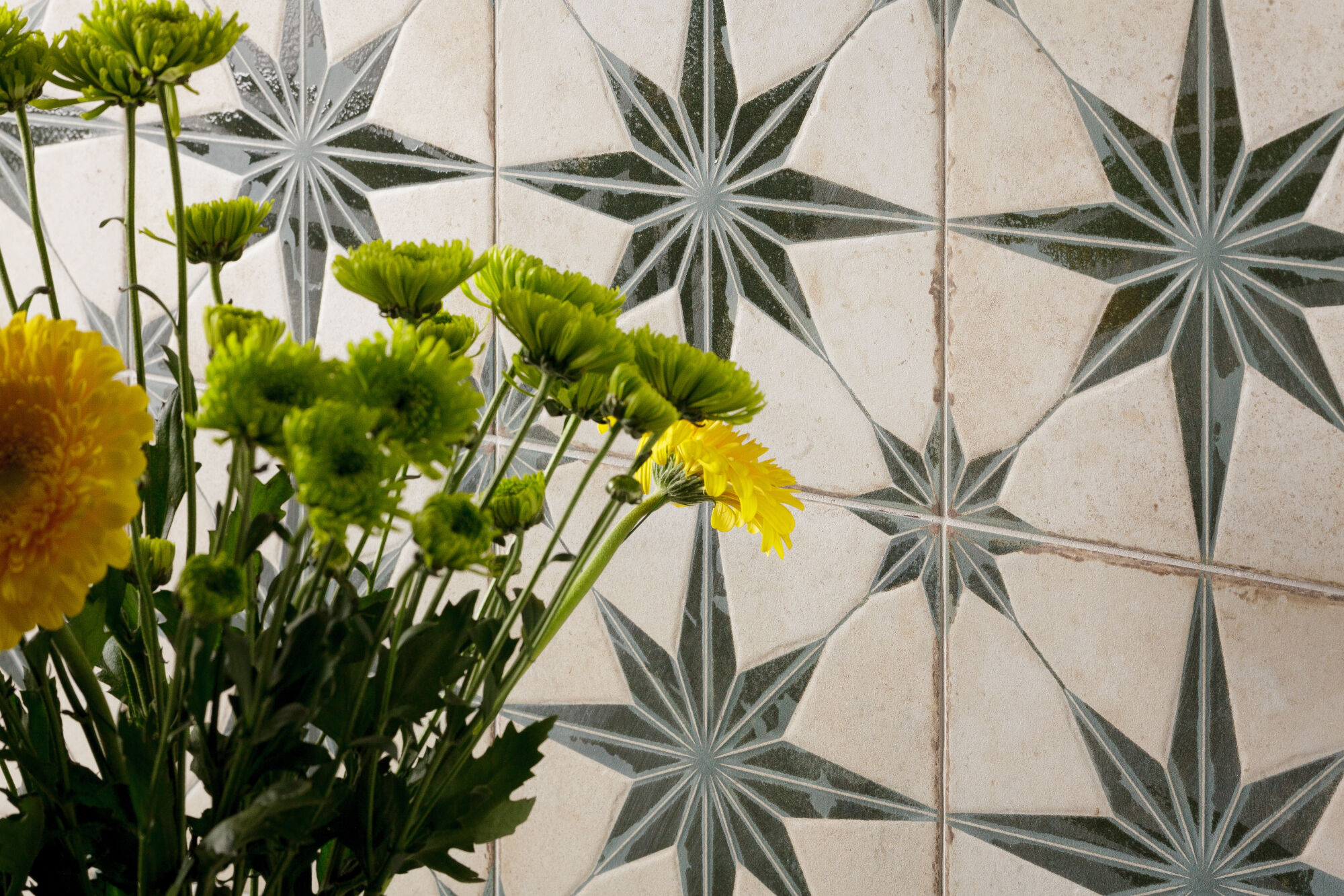 FS STARLIGHT LT FS STARLIGHT LT